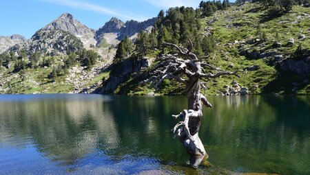Die Zentralpyrenäen 8sam erwandern
