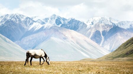 Kirgistan - Auf den Spuren der Bergnomaden