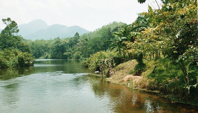 Sri Lankas Highlights erwandern