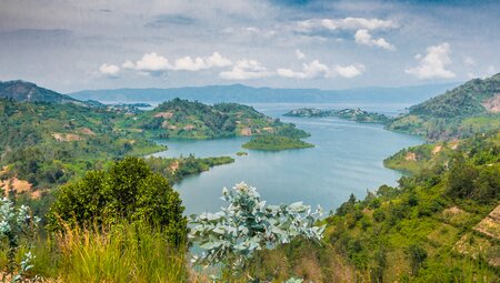 Ruandas und Ugandas Highlights erleben
