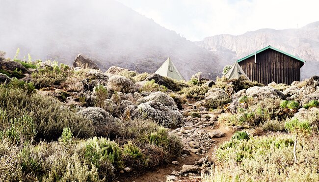 Kilimanjaro - Marangu Route mit Zusatztag