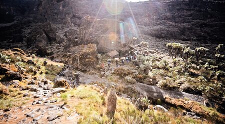 Kilimanjaro - Lemosho Route mit Crater Camp