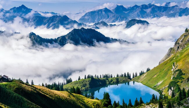 Das Allgäu naturnah entdecken - von sanften Wiesen zu markanten Gipfeln