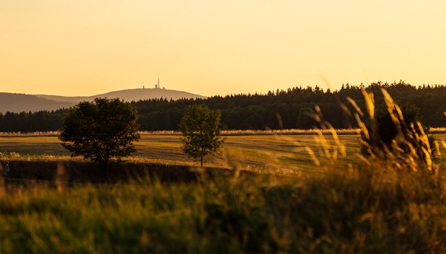Die Highlights des Harz erwandern