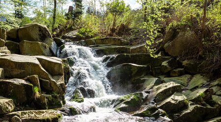 Die Highlights des Harz erwandern