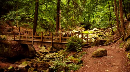 Die Highlights des Harz erwandern