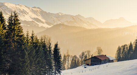 Schneeschuhwandern im Kleinwalsertal - Panoramawanderungen im Allgäu