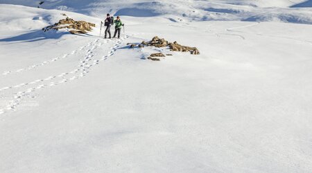 Schneeschuhwandern im Kleinwalsertal - Panoramawanderungen im Allgäu