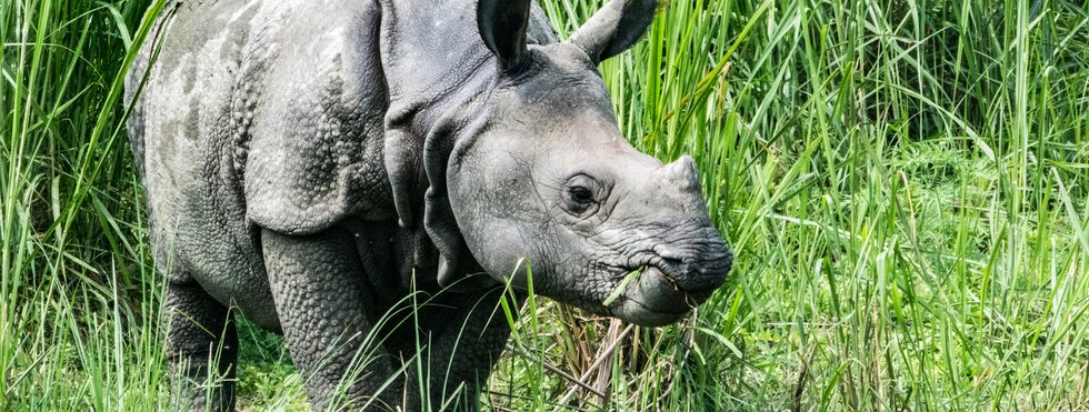 Chitwan Nationalpark