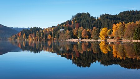 Die schönsten Wanderungen im Schwarzwald - Gipfel, Seen und Schluchten