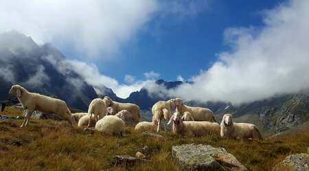 Stubaier Höhenweg - komfortabel von Hütte zu Hütte mit Gepäcktransport