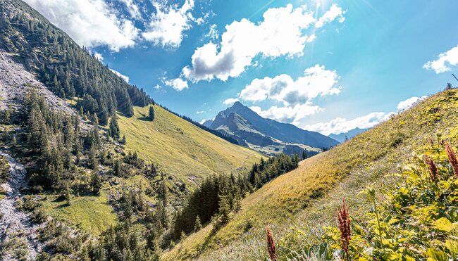 Der Lech - einen der letzten Wildflüsse gemütlich erwandern