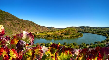 Lavakegel, Kraterseen und Geysire - Wanderungen in der Vulkaneifel