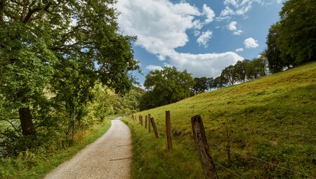 Lavakegel, Kraterseen und Geysire - Wanderungen in der Vulkaneifel