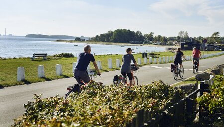 Sternfahrt Kopenhagen - Kopenhagen und das bezaubernde Seeland