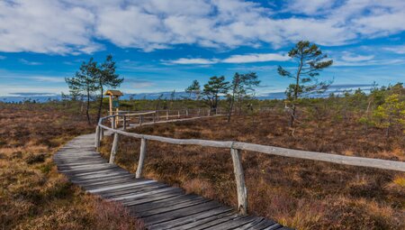 Die Rhön - das Land der offenen Fernen gemütlich erwandern