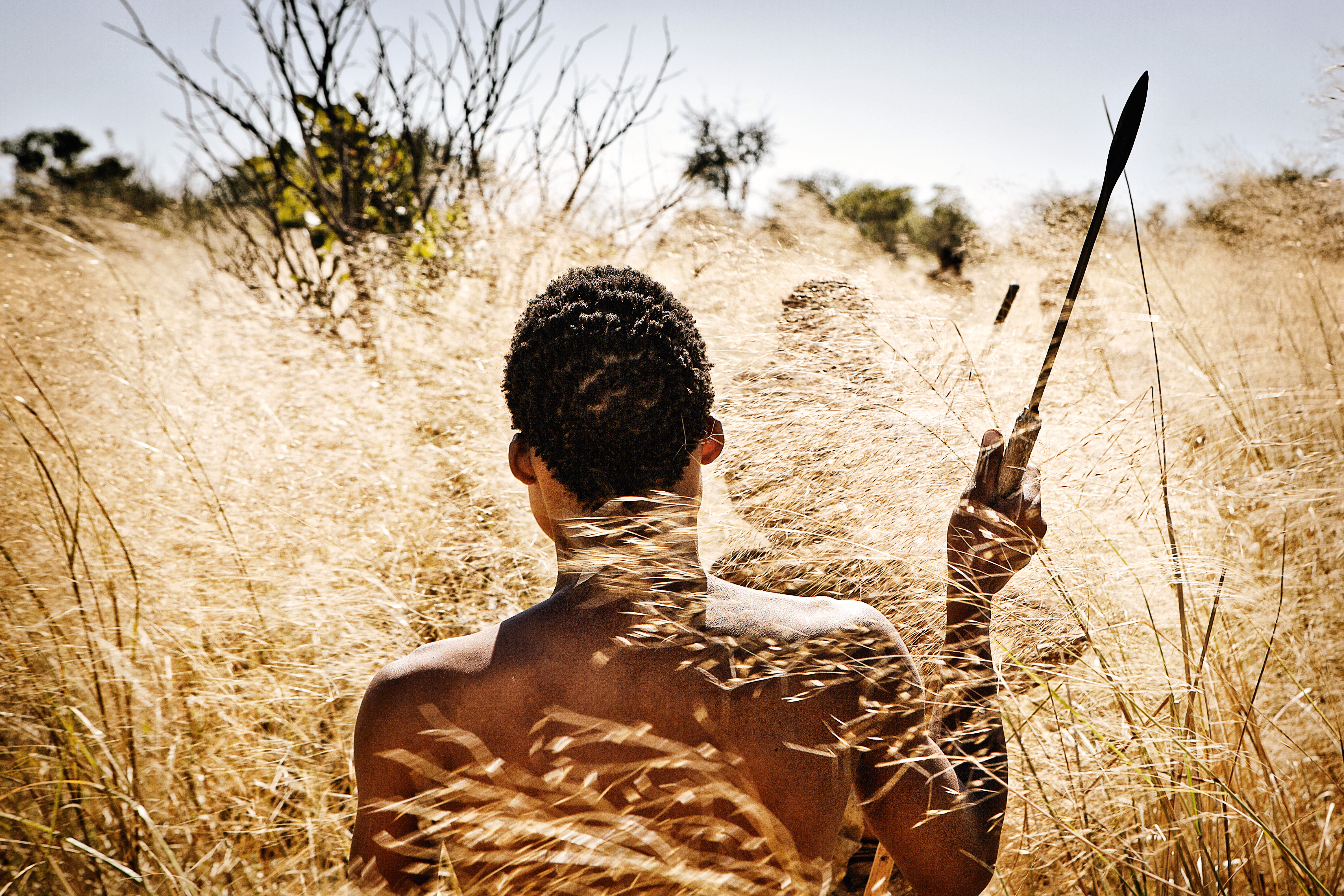 Пигмеи народ африки. Бушмены пустыни калахари. Австралопитек африканус. Африканские племена пигмеи. Как появился человек.