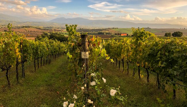Umbrien - Das grüne Herz Italiens