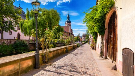 Biertour im Elsass 8 Tage
