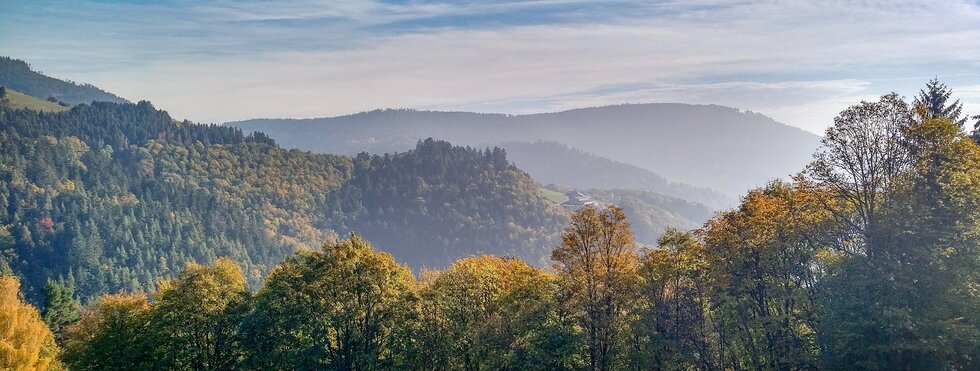 Sternfahrt im Nordelsass: 6 Tage Fahrrad, Spa und Entspannung 