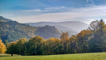 Sternfahrt im Nordelsass: 6 Tage Fahrrad, Spa und Entspannung 