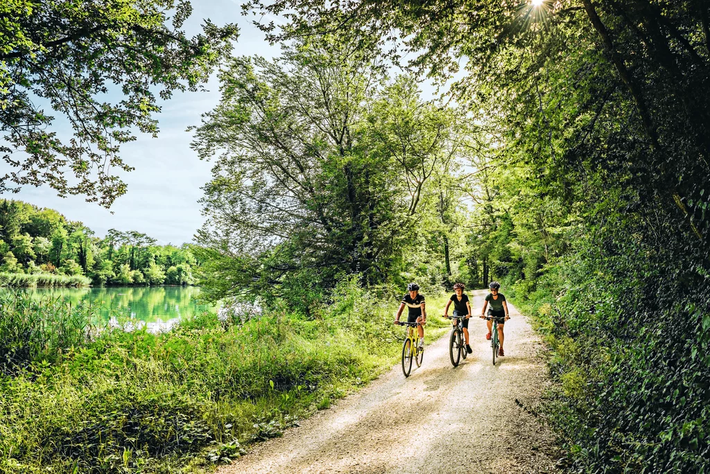 Aare-Route Grimselpass - Bad Zurzach