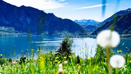 Salzkammergut Peace Ride - Radrundweg