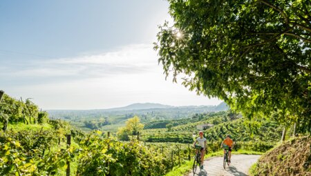 Der Pedemontana-Radweg: Von Sacile nach Gorizia