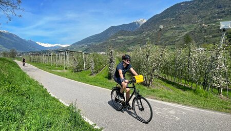 Innsbruck - Gardasee Obst und Wein am Etsch-Radweg