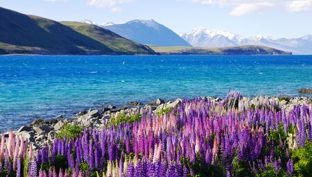 Neuseeland - Naturparadies Südinsel