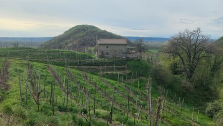 Venetien - Wanderung entlang der Prosecco-Straße