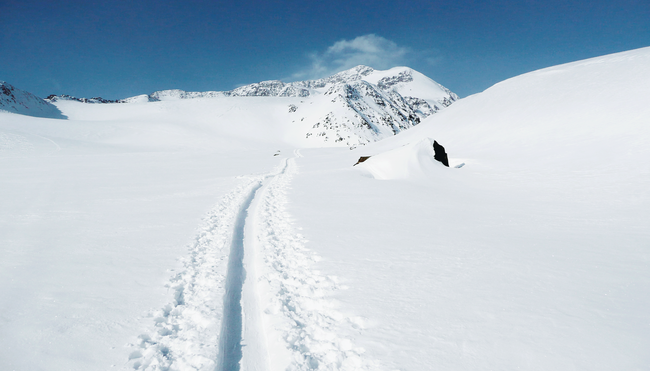 Skitouren für 3000er-Sammler im Ortlergebiet mit Cevedale (3.769 m)