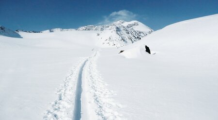 Skitouren für 3000er-Sammler im Ortlergebiet mit Cevedale (3.769 m)