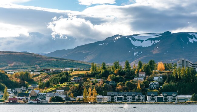 Wandern & Entdecken rund um Island