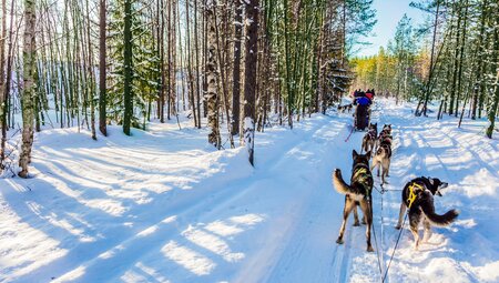 Finnland - Silvester in Rovaniemi