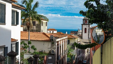 Kultur, Natur & Genuss: Madeira mit allen Sinnen