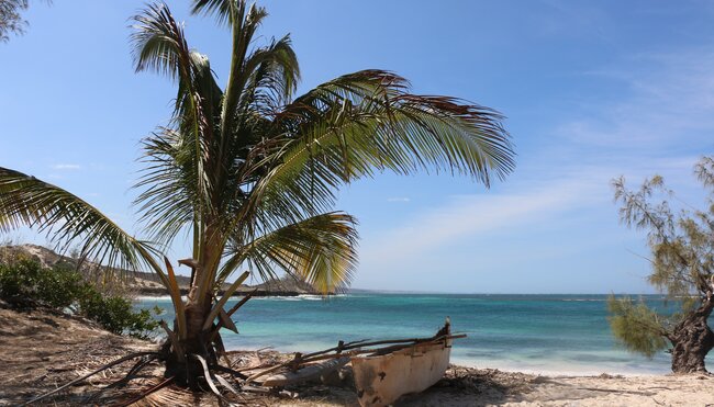 Meeresabenteuer – Wo der Wald auf das Meer trifft