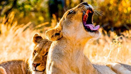 Simbabwe: Matobo