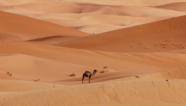 Tunesien: Sahara