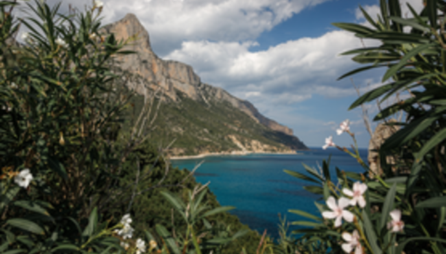Sardiniens Highlights erwandern 