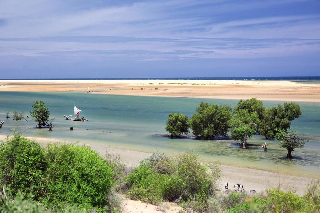 Erkundung der Biodiversität auf dem Achten Kontinent