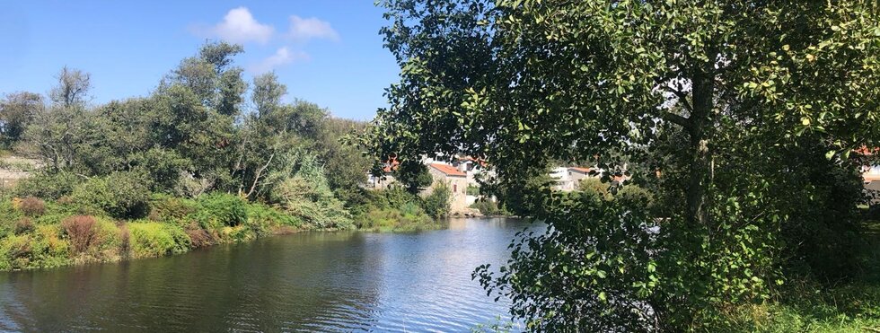 Portugiesischer Jakobsweg von Porto bis nach Santiago de Compostela
