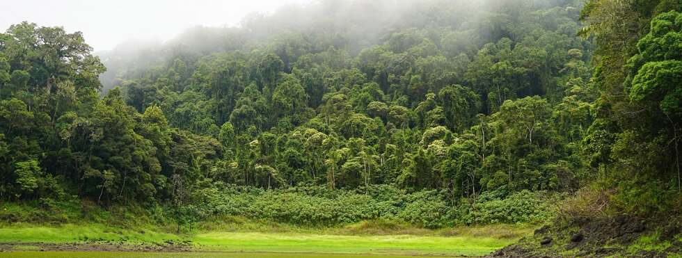 Meeresabenteuer – Wo der Wald auf das Meer trifft