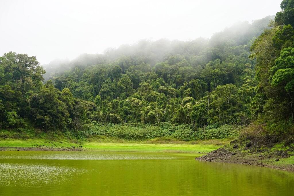 Meeresabenteuer – Wo der Wald auf das Meer trifft