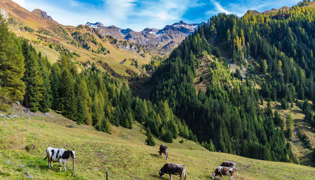Tirols verborgene Wege entdecken Tirols verborgene Wege entdecken