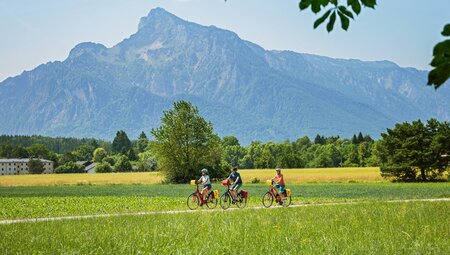 Alpe-Adria-Radweg Salzburg-Grado sportlich
