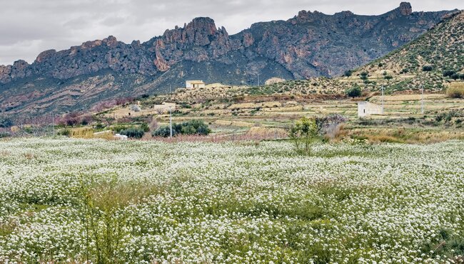 Murcia - die schönsten Radtouren im Osten der Peninsula