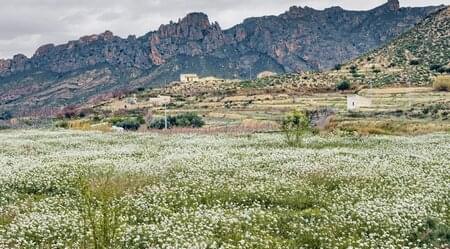 Murcia - die schönsten Radtouren im Osten der Peninsula