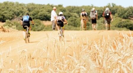 Jakobsweg individuell - Französischer Weg: León-Santiago mit dem E-Bike