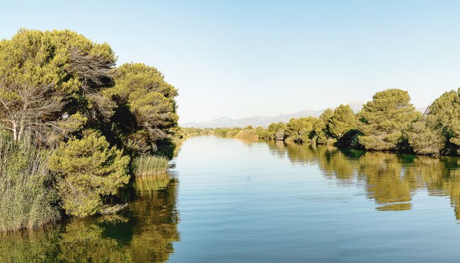 Mallorca Finca Sternfahrt - Durch das stille Herz der Insel